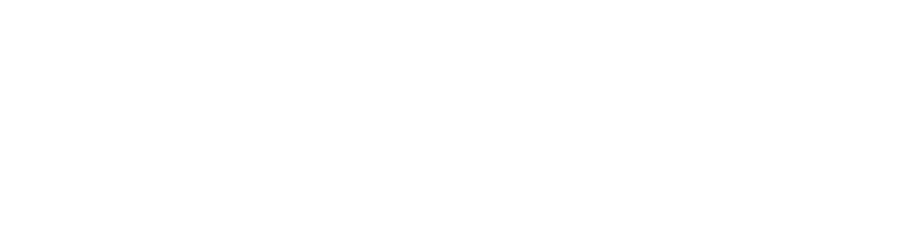 PERFORMANCE Libertyの実績